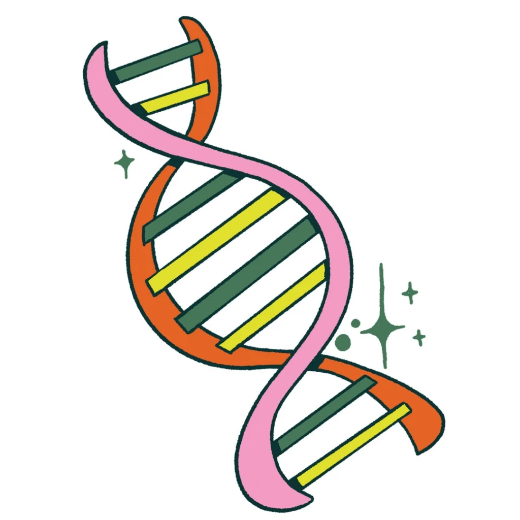 Tallahassee's MagLab Did It Again 4 DNA helix