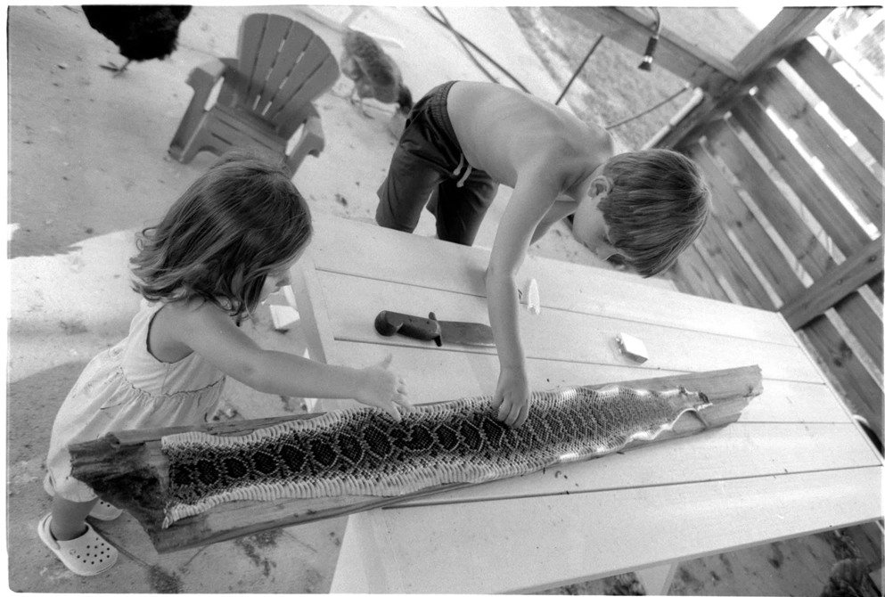 A Wild Florida Childhood Captured on Camera 7 two kids investigate a rattlesnake skin
