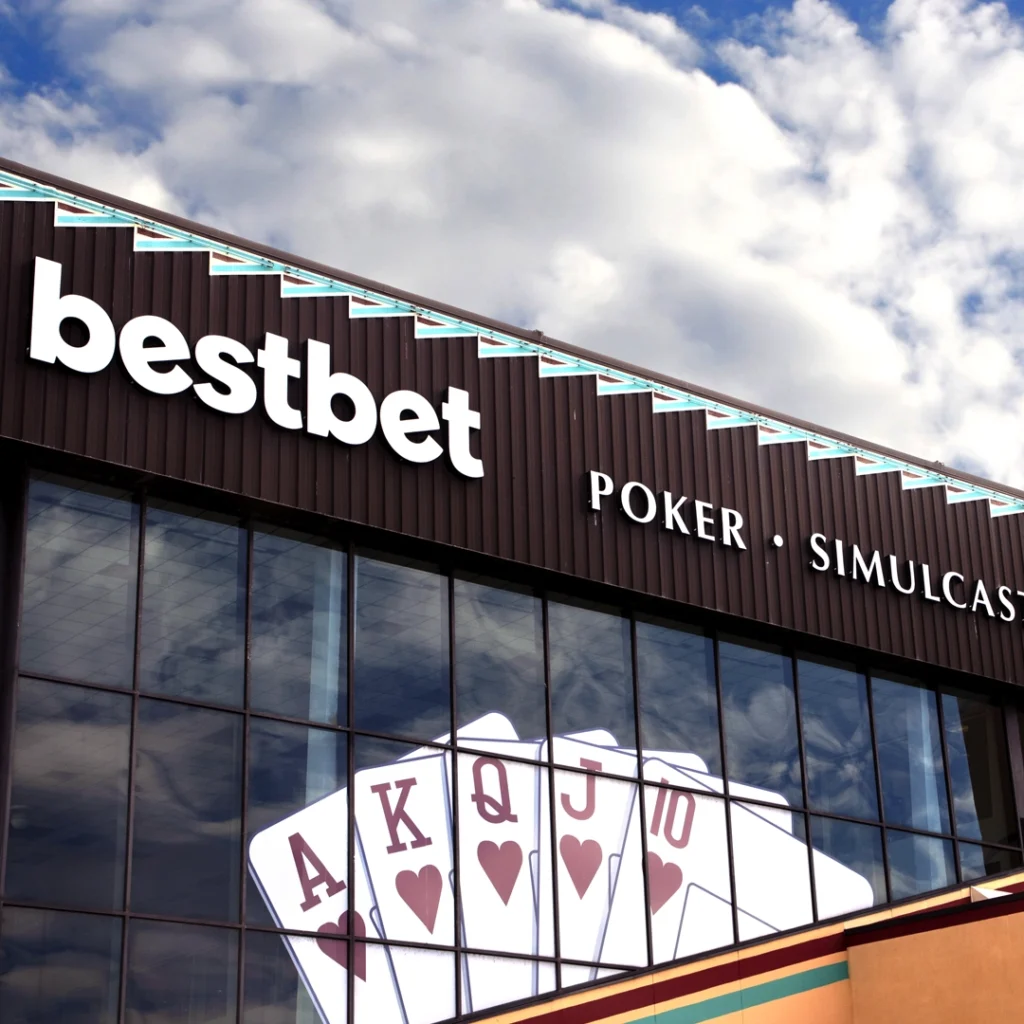 Discover the Art of the Game at bestbet in Northeast Florida 1 Flamingo AdvBestbetFI 2026
