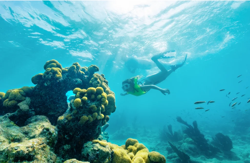 Four Ways to Dive Deep Into The Florida Keys this Summer 2 snorkeling in the coral reefs