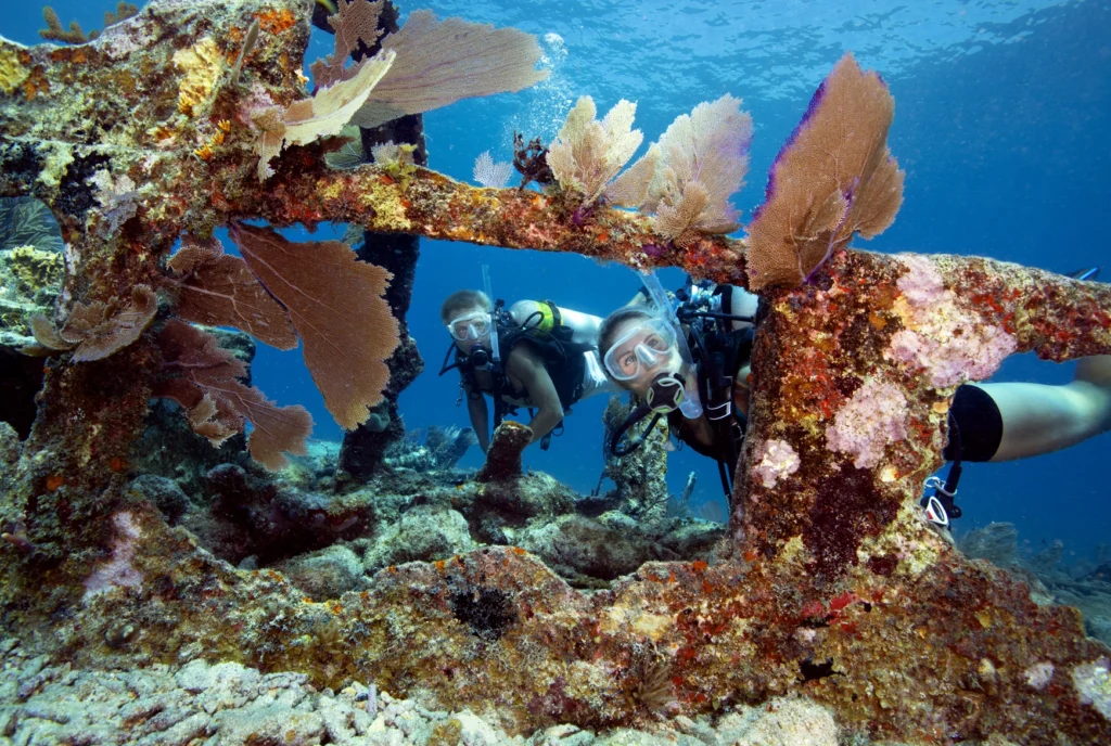 Four Ways to Dive Deep Into The Florida Keys this Summer 4 snorkeling in a coral reef-covered shipwreck