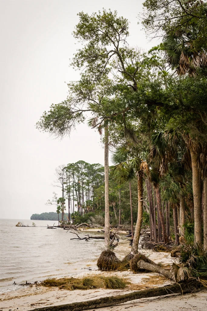 Why Florida's Forgotten Coast Wants You to Forget All About It 3 Shoreline at St. Vincent National Wildlife Refuge